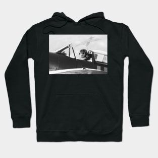 Tally Ho! Hoodie